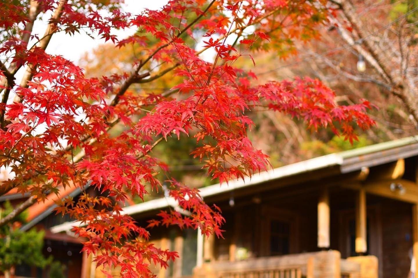 Sunny Side Cottage Shimoda  Exterior photo
